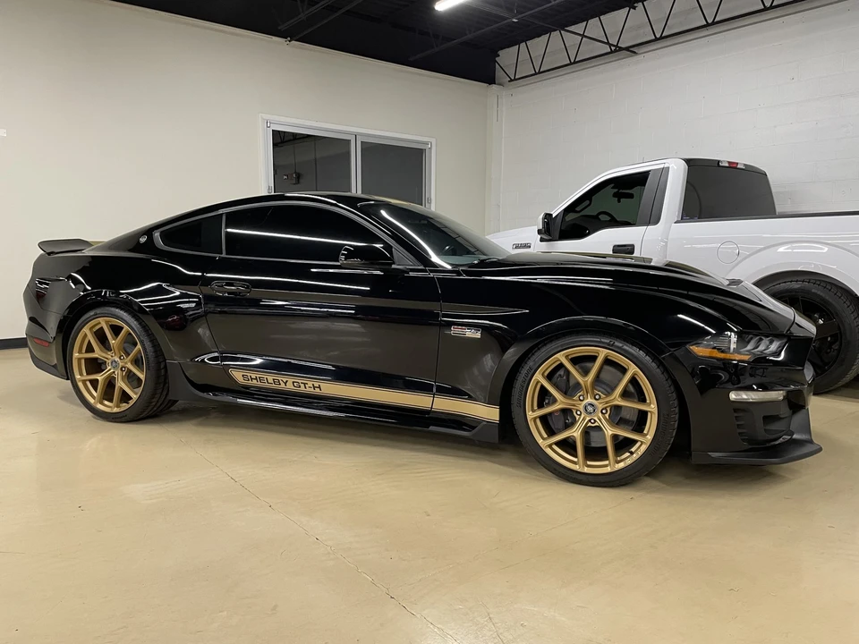 2019 Ford S550 Shelby Mustang GT & GT-H & Terlingua & GTE - Image 20 of 31