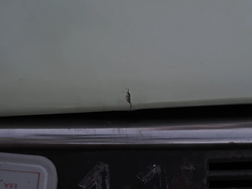 1964 Citroen DS19 - Image 29 of 31