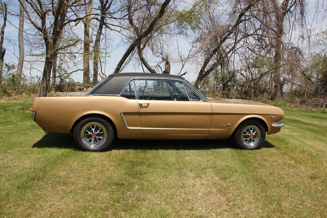 1965 Ford Mustang 1st Gen (1964.5-1966) - Image 18 of 31