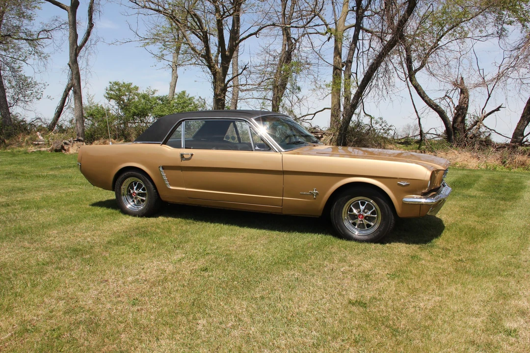 1965 Ford Mustang 1st Gen (1964.5-1966) - Image 19 of 31
