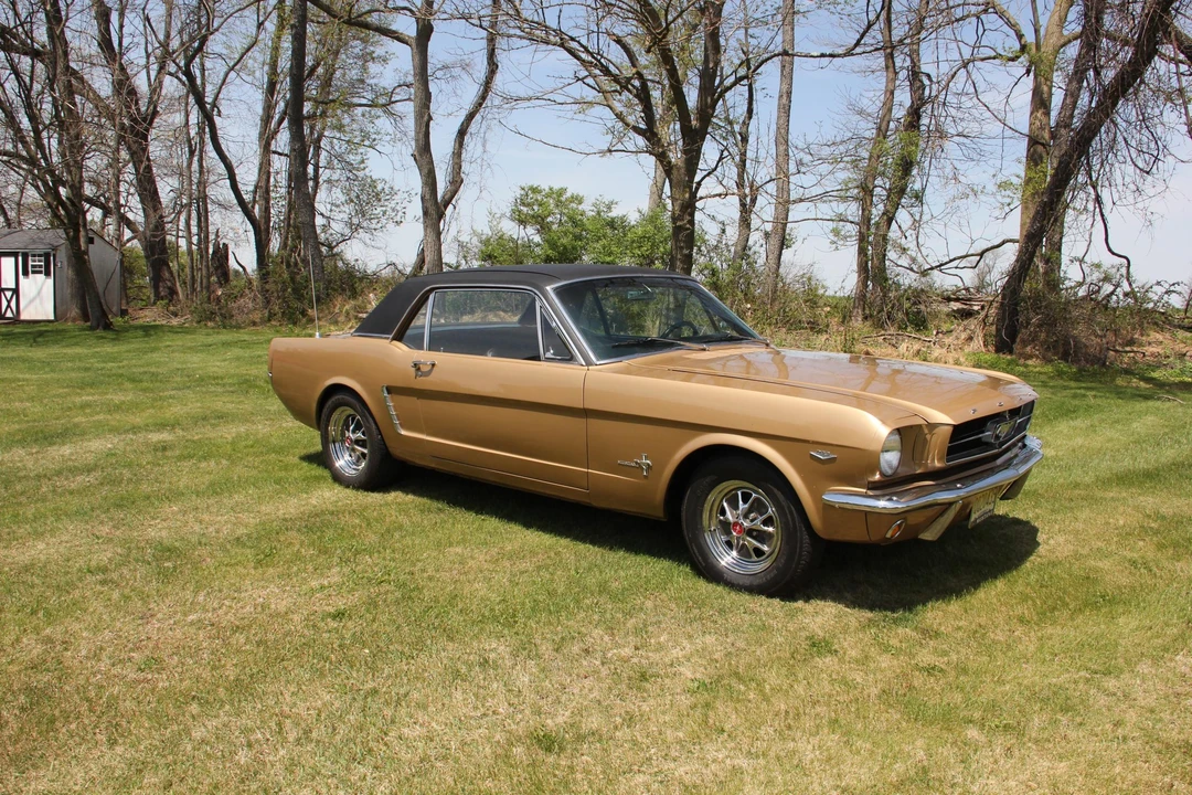 1965 Ford Mustang 1st Gen (1964.5-1966) - Image 20 of 31