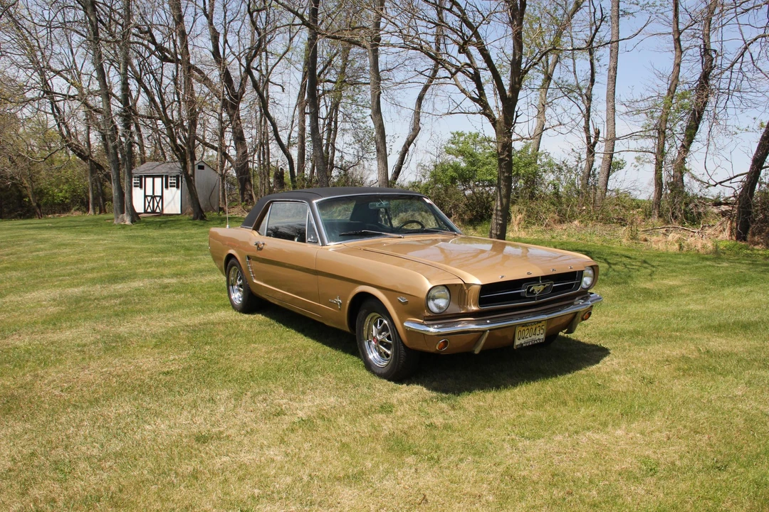 1965 Ford Mustang 1st Gen (1964.5-1966) - Image 22 of 31