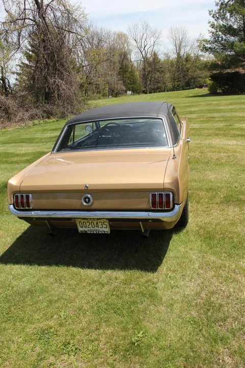 1965 Ford Mustang 1st Gen (1964.5-1966) - Image 13 of 31