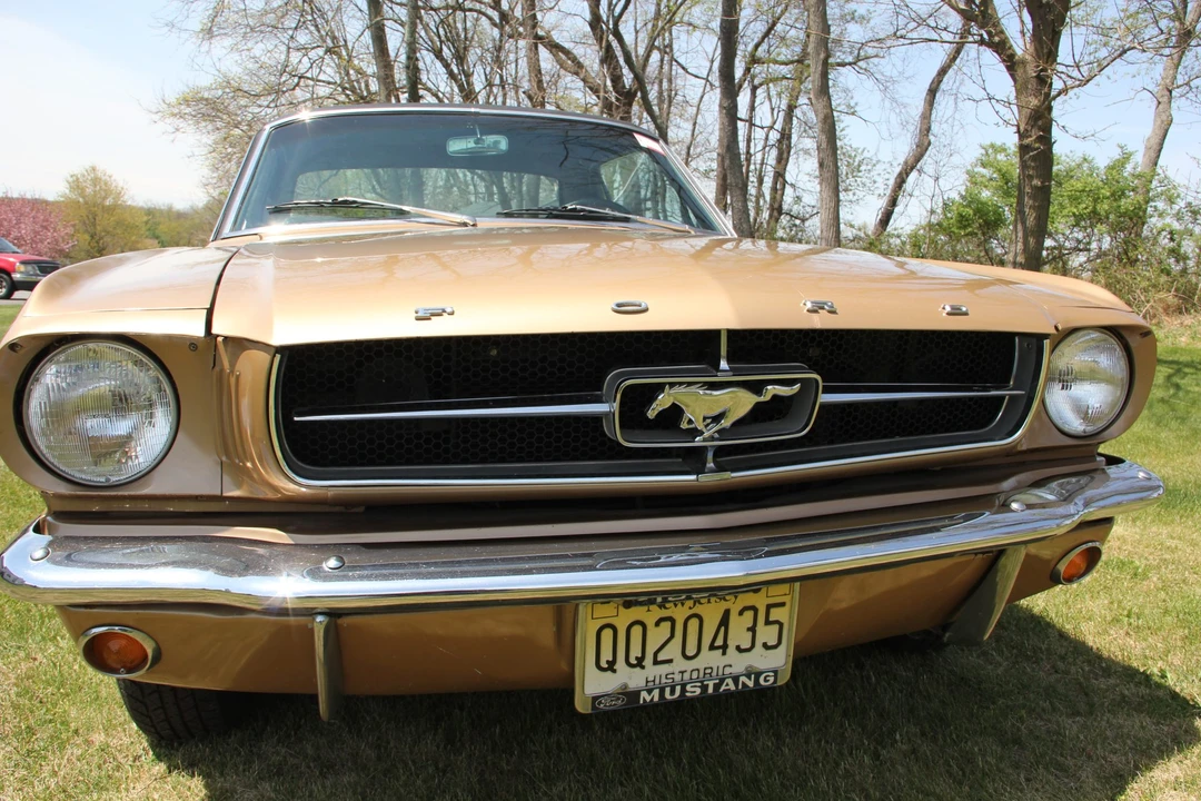 1965 Ford Mustang 1st Gen (1964.5-1966) - Image 30 of 31