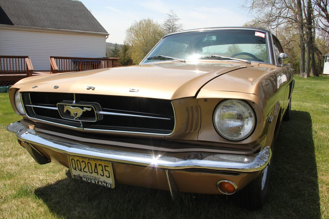 1965 Ford Mustang 1st Gen (1964.5-1966) - Image 31 of 31