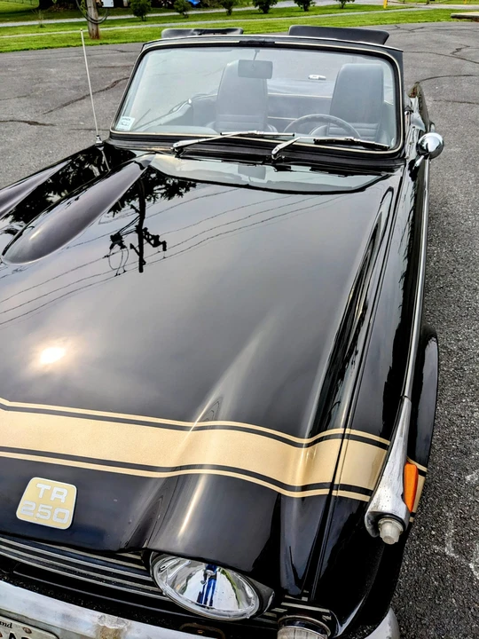 1968 Triumph TR5/TR250 - Image 11 of 31