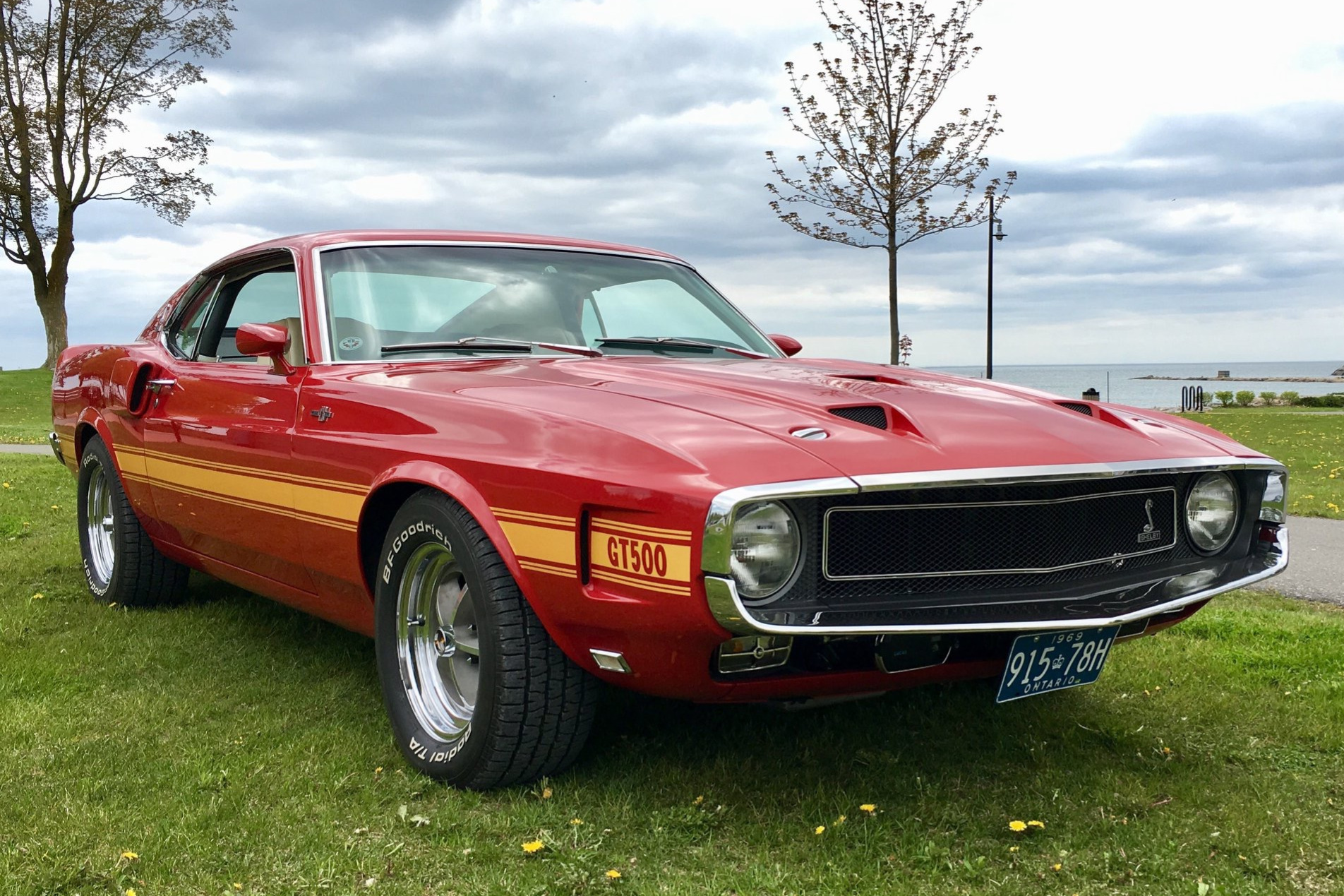 23-Years-Owned 1969 Shelby Mustang GT500