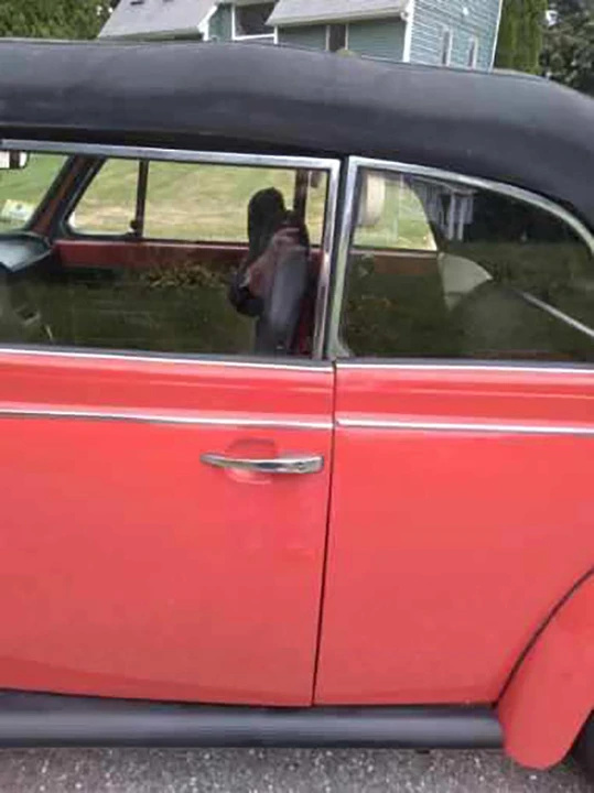 1974 Volkswagen Super Beetle - Image 21 of 31