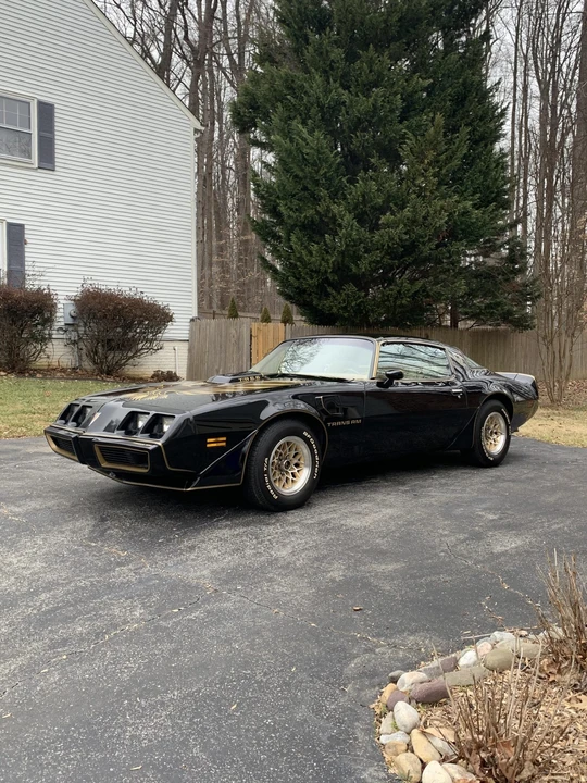 1979 Pontiac Firebird Trans Am 2nd Gen - Image 15 of 31