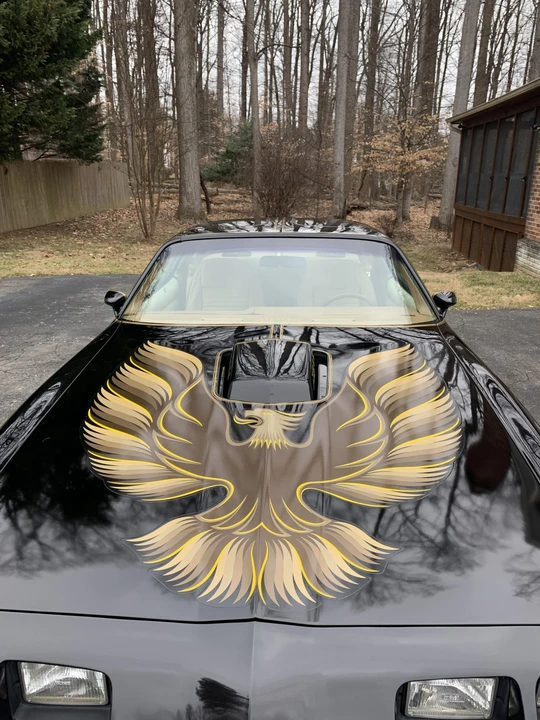 1979 Pontiac Firebird Trans Am 2nd Gen - Image 23 of 31