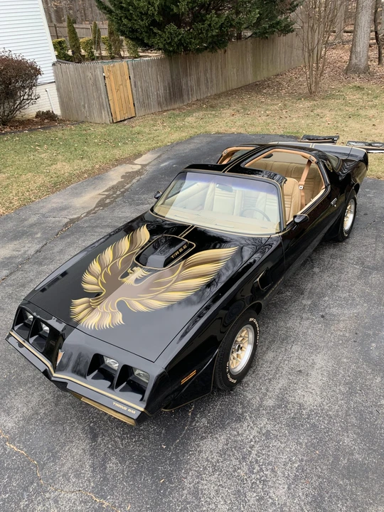 1979 Pontiac Firebird Trans Am 2nd Gen - Image 16 of 31