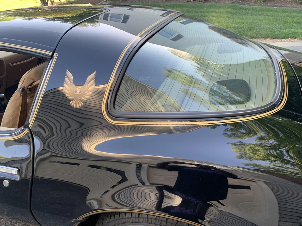 1979 Pontiac Firebird Trans Am 2nd Gen - Image 30 of 31