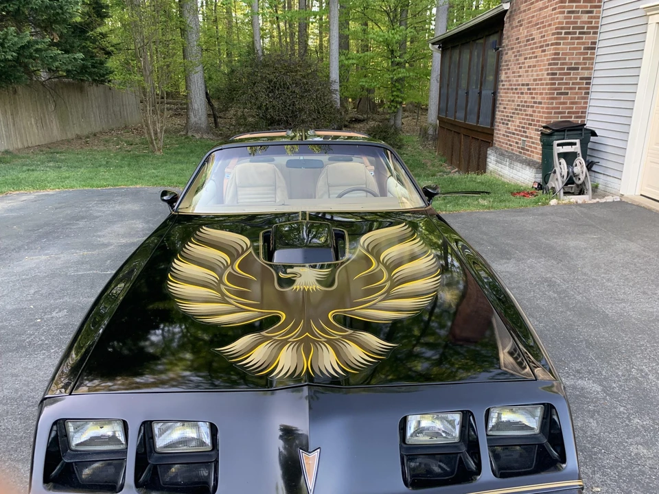 1979 Pontiac Firebird Trans Am 2nd Gen - Image 22 of 31
