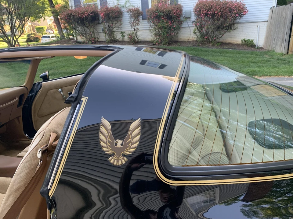 1979 Pontiac Firebird Trans Am 2nd Gen - Image 31 of 31