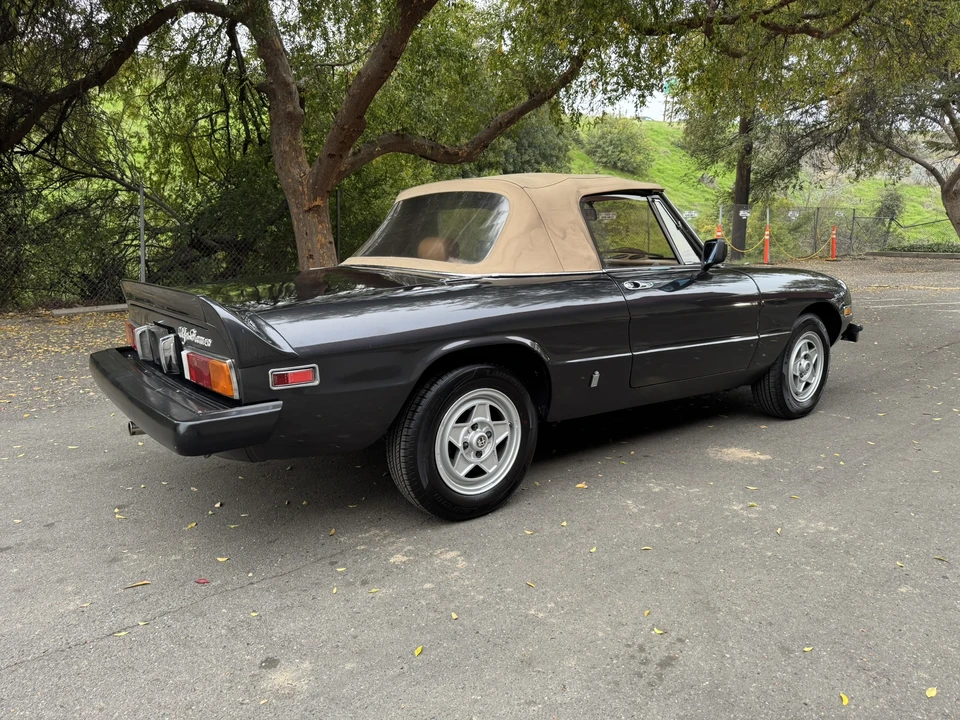 1982 Alfa Romeo Series 3 - Image 10 of 31