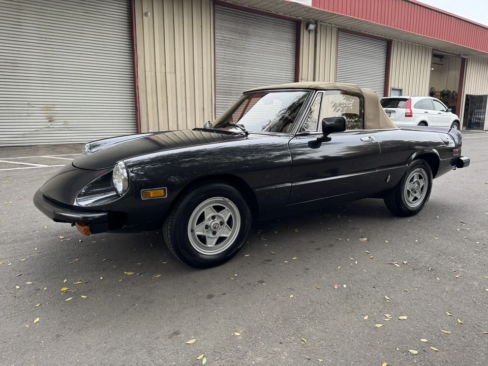 1982 Alfa Romeo Series 3 - Image 6 of 31