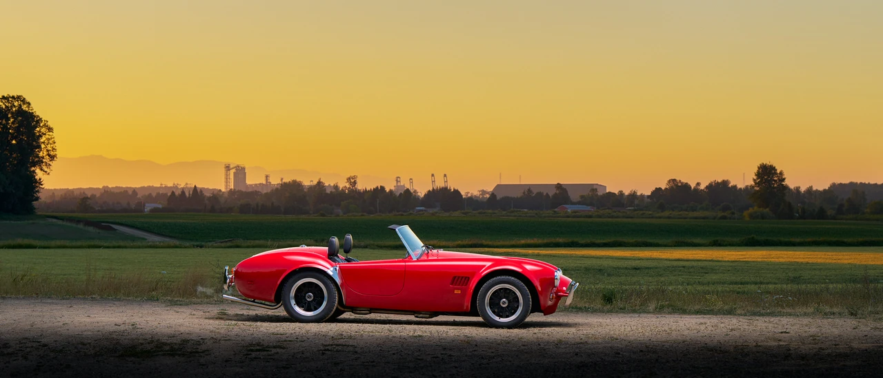 1989 Shelby Cobra Replica - Image 14 of 31
