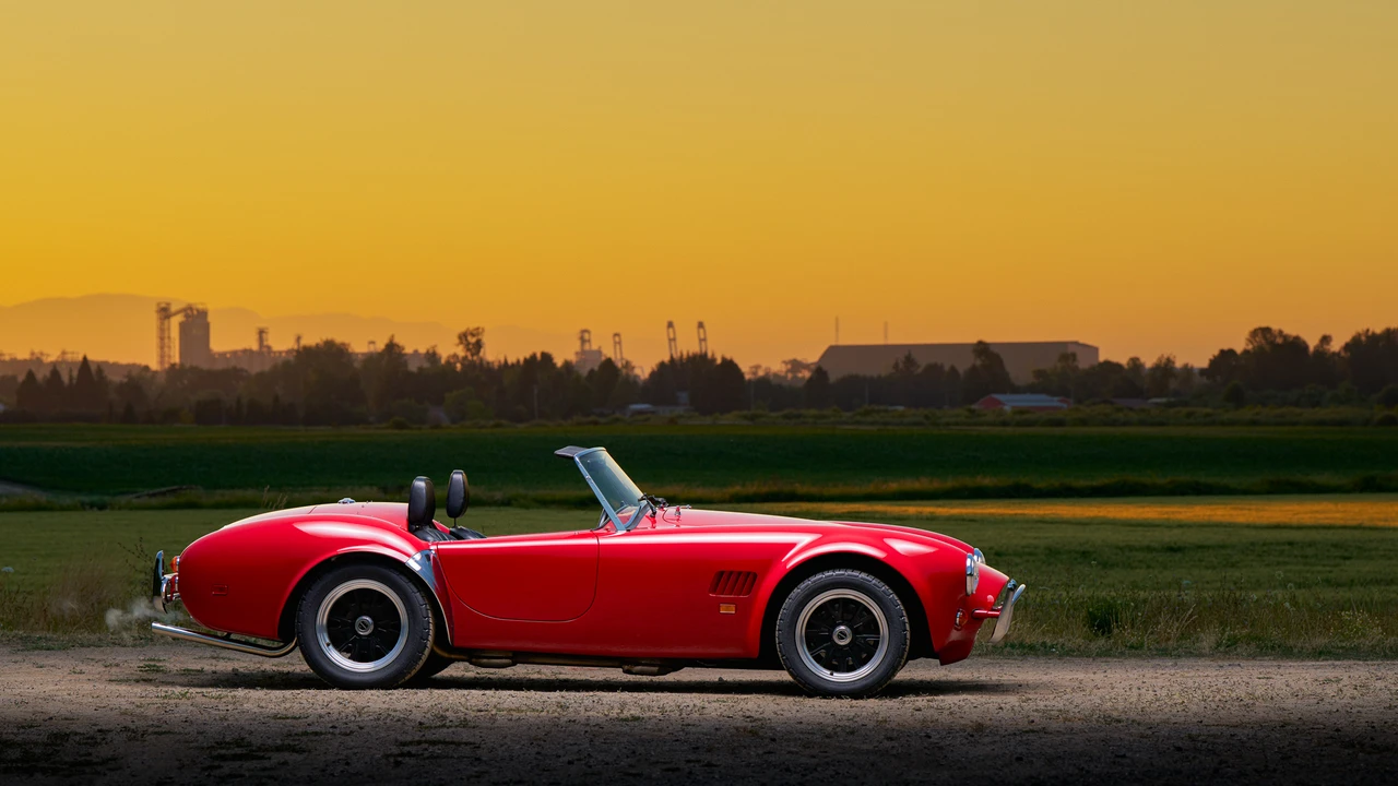 1989 Shelby Cobra Replica - Image 13 of 31