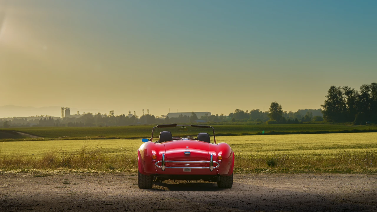 1989 Shelby Cobra Replica - Image 16 of 31