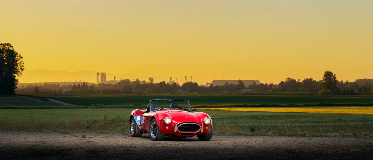 1989 Shelby Cobra Replica - Image 5 of 31