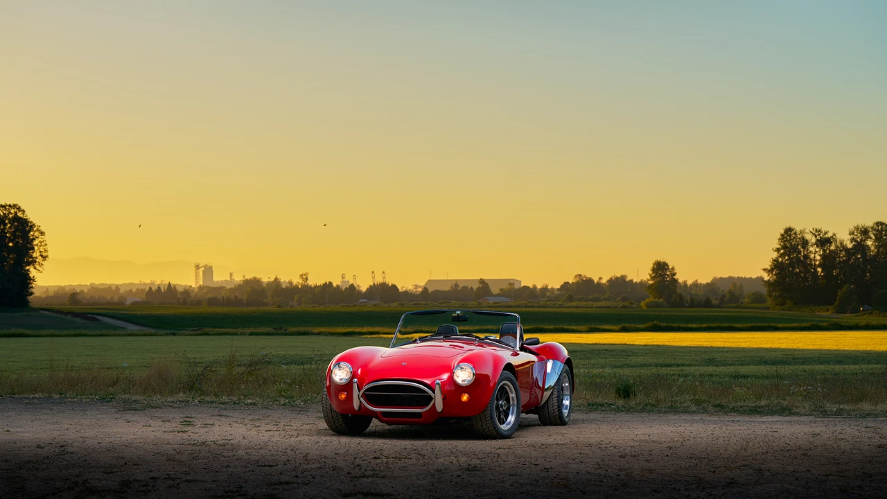 1989 Shelby Cobra Replica - Image 3 of 31