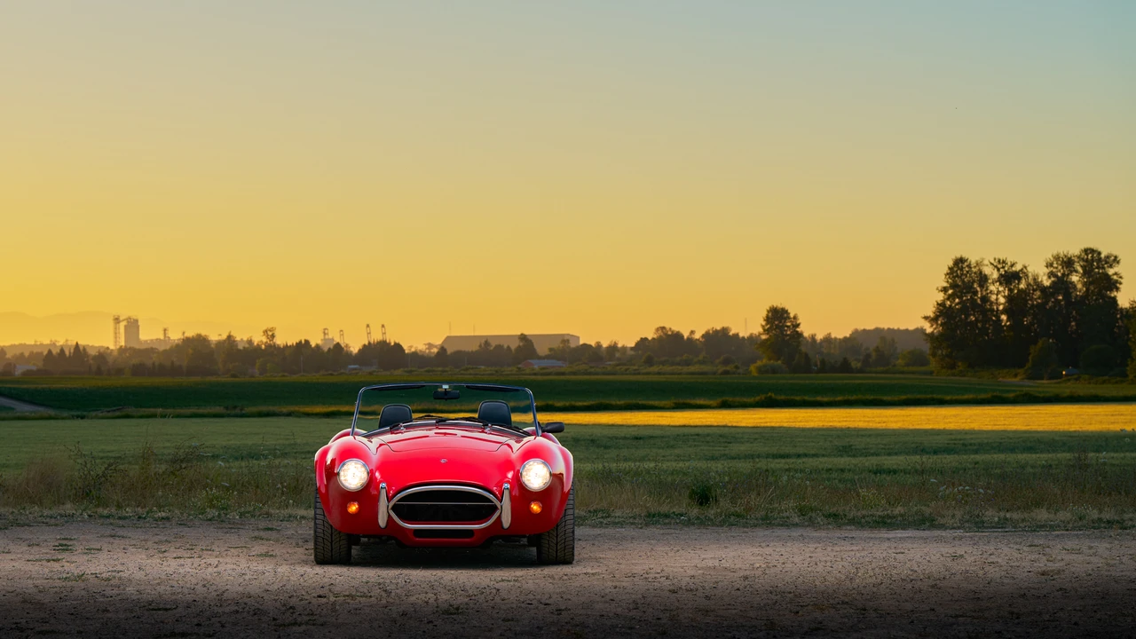 1989 Shelby Cobra Replica - Image 9 of 31