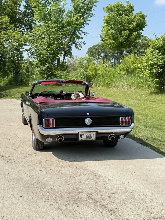1966 Ford Mustang 1st Gen (1964.5-1966) - Image 18 of 31