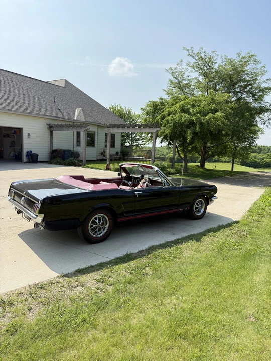1966 Ford Mustang 1st Gen (1964.5-1966) - Image 19 of 31