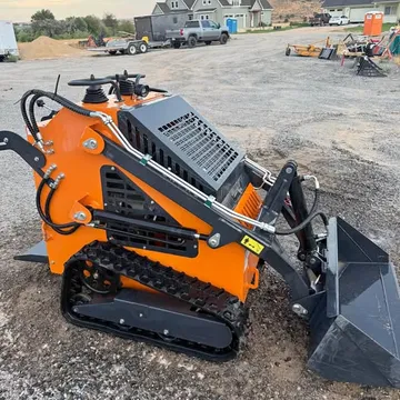 Mini Classic Mini Skid