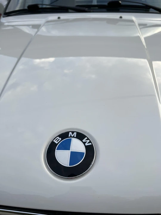 1992 BMW E30 3 Series - Image 25 of 31