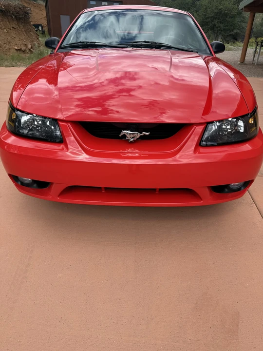 2001 Ford SN95 Mustang Cobra - Image 20 of 31