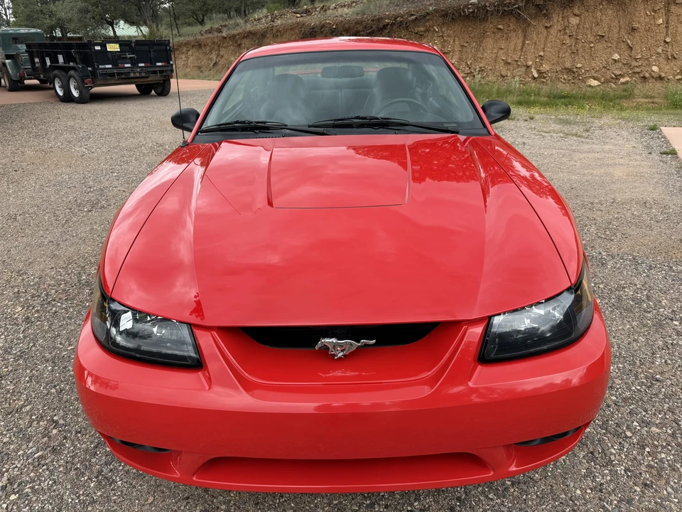 2001 Ford SN95 Mustang Cobra - Image 11 of 31