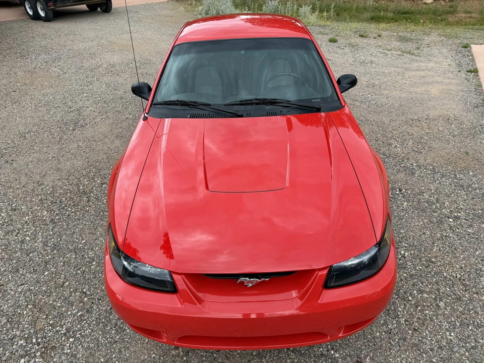 2001 Ford SN95 Mustang Cobra - Image 12 of 31