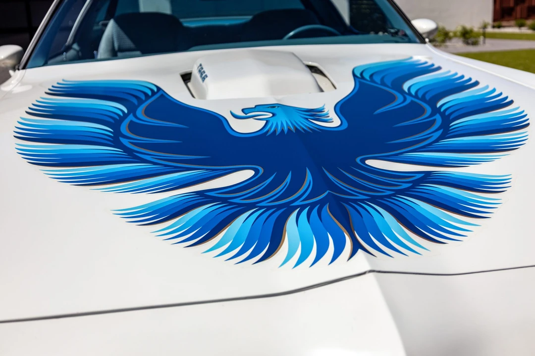 1979 Pontiac Firebird Trans Am 2nd Gen - Image 28 of 31