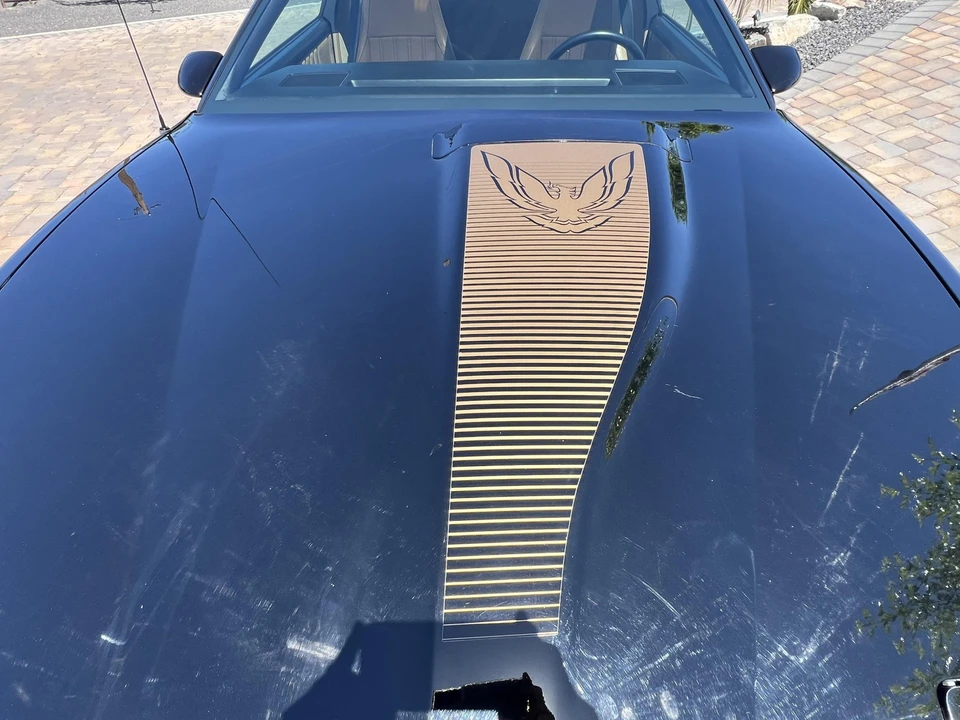 1984 Pontiac Firebird Trans Am 3rd Gen - Image 28 of 31