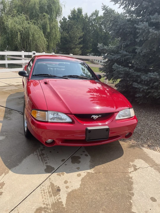 1994 Ford SN95 Mustang Cobra - Image 11 of 31