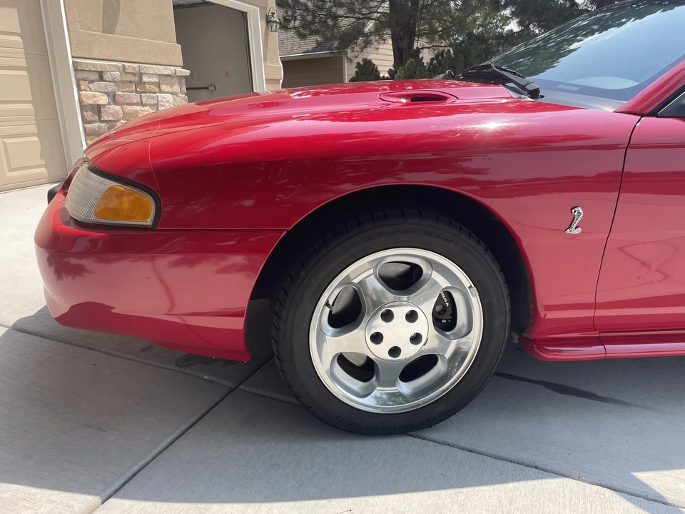 1994 Ford SN95 Mustang Cobra - Image 14 of 31