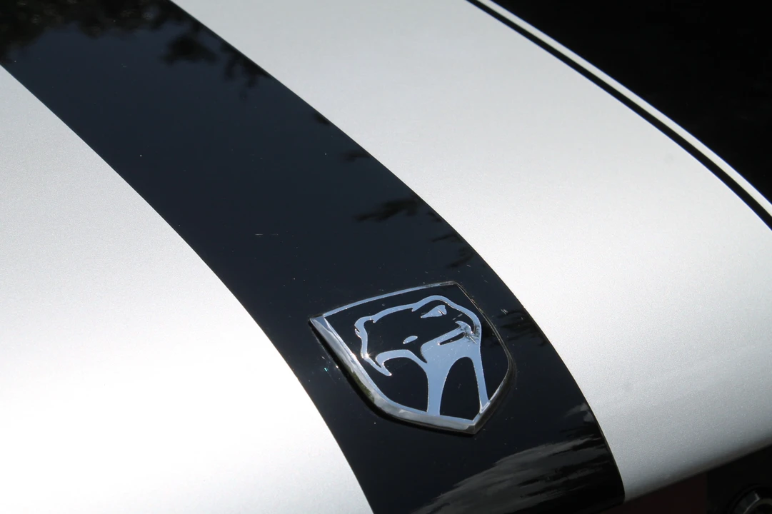 1996 Dodge Viper 2nd Gen - Image 21 of 31