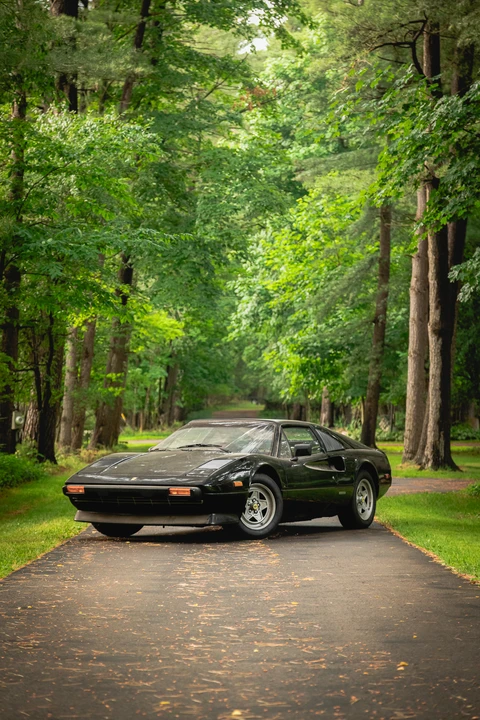 1982 Ferrari 308 GTS - Image 5 of 31