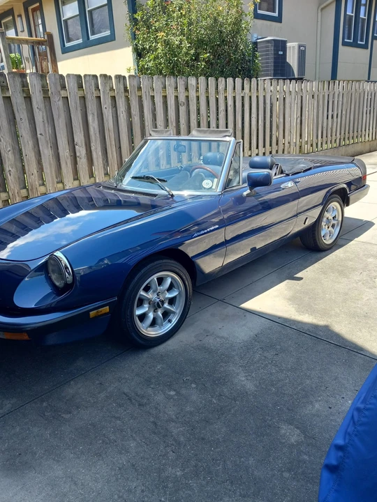 1983 Alfa Romeo Series 3 - Image 22 of 31