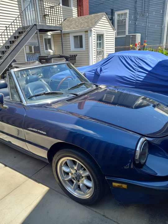 1983 Alfa Romeo Series 3 - Image 30 of 31