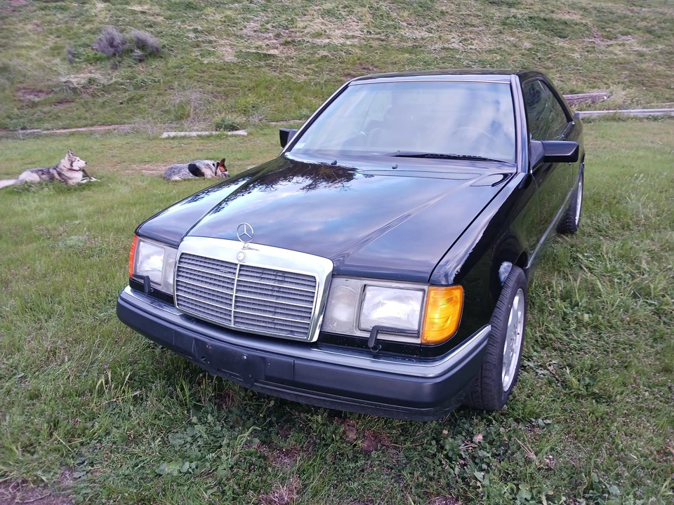 1991 Mercedes-Benz W124 E-Class - Image 2 of 31