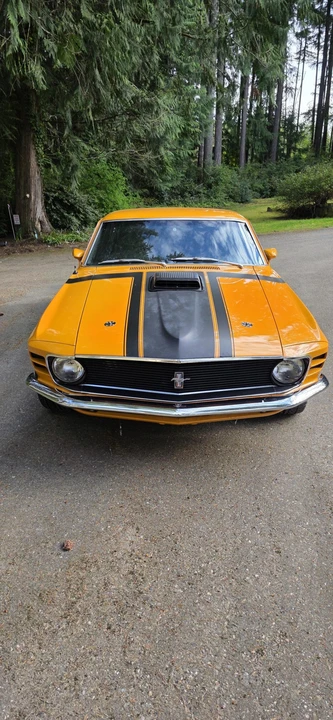 1970 Ford Mustang Boss 302 1st Gen - Image 31 of 31