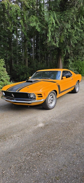 1970 Ford Mustang Boss 302 1st Gen - Image 3 of 31