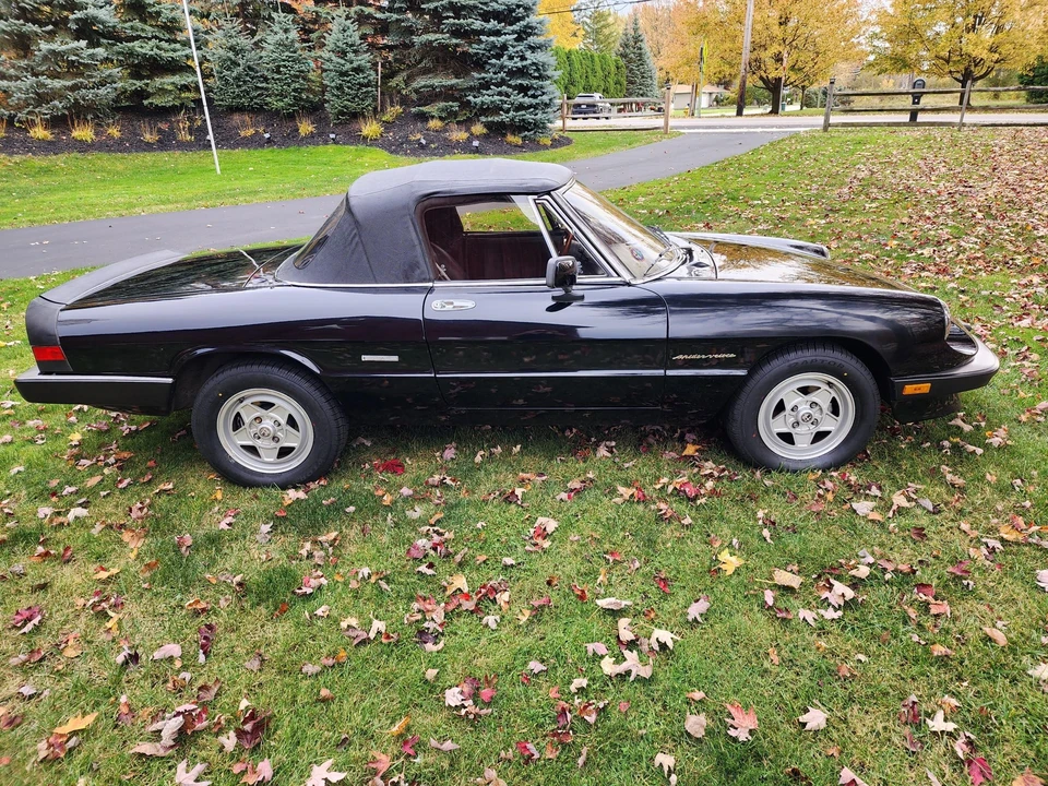 1986 Alfa Romeo Series 3 - Image 18 of 31