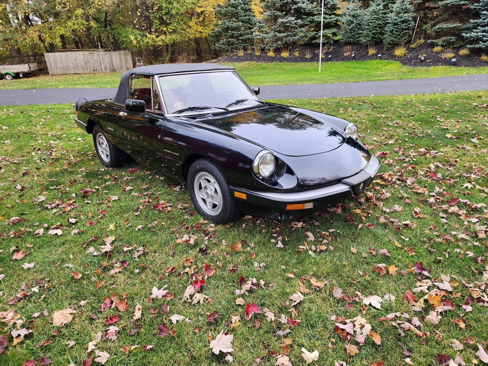 1986 Alfa Romeo Series 3 - Image 17 of 31