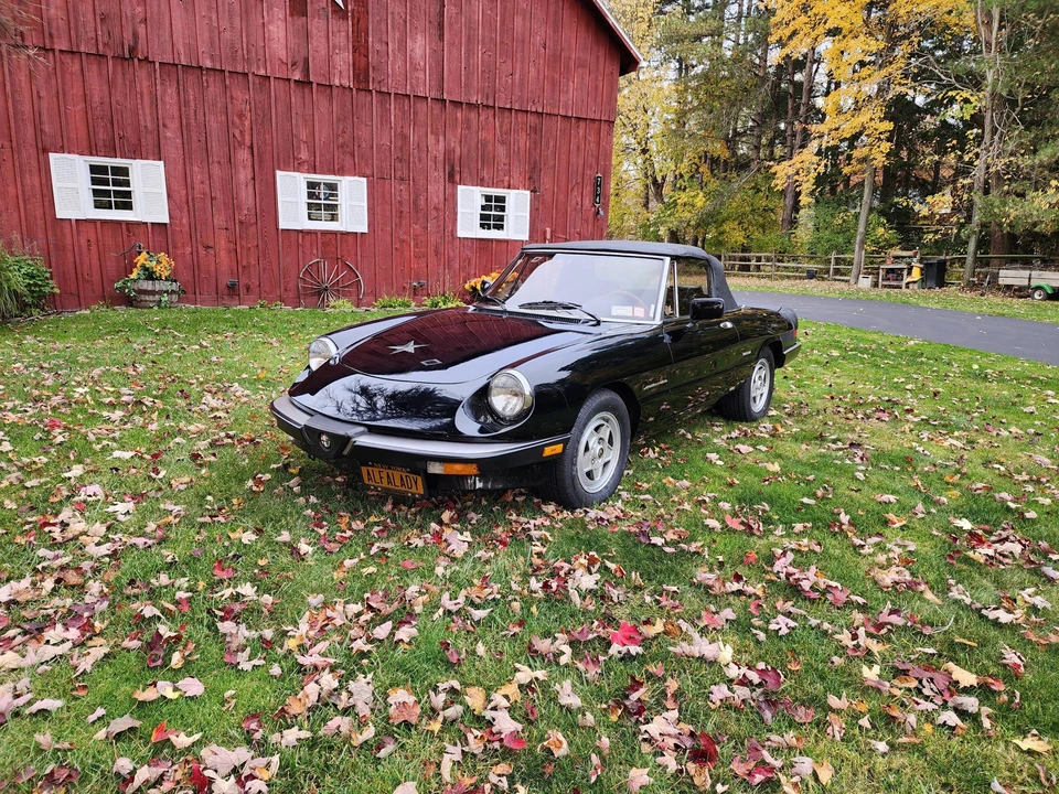 1986 Alfa Romeo Series 3 - Image 11 of 31