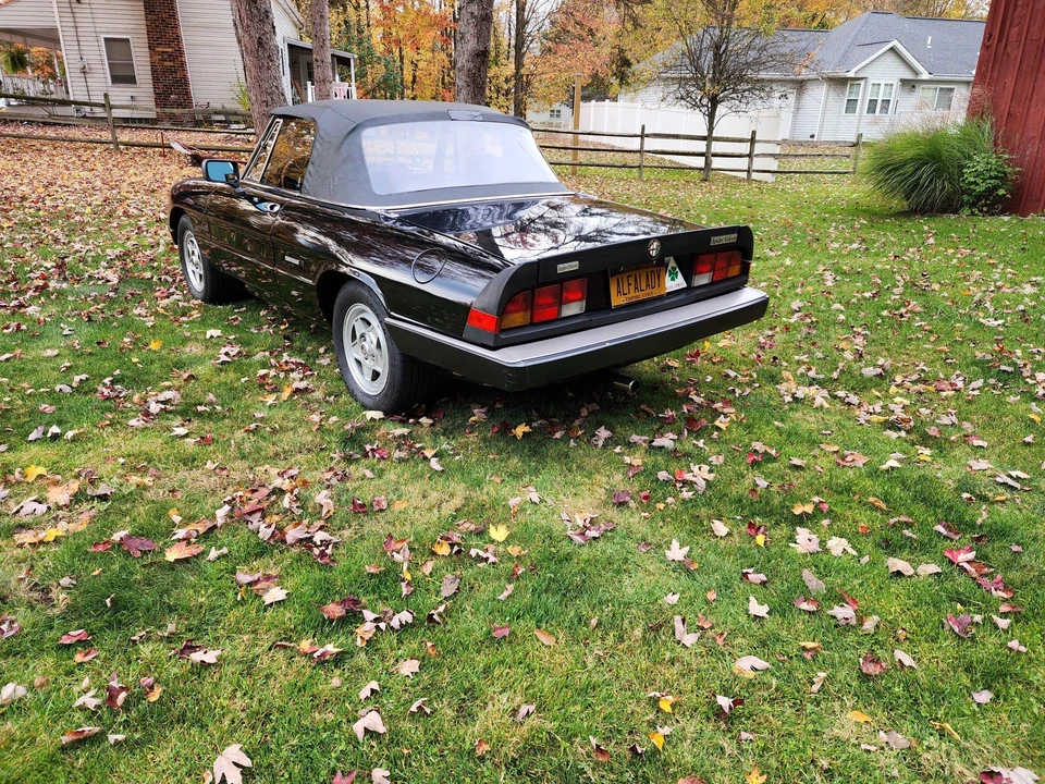 1986 Alfa Romeo Series 3 - Image 22 of 31