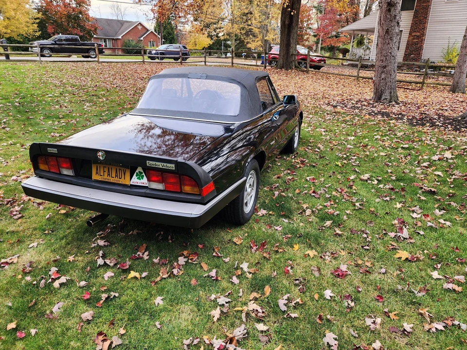 1986 Alfa Romeo Series 3 - Image 20 of 31