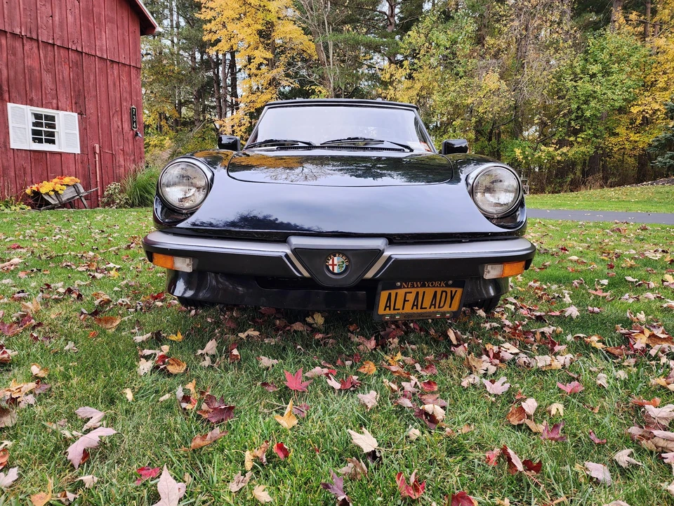 1986 Alfa Romeo Series 3 - Image 14 of 31